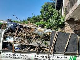Best Carpet Removal and Disposal  in Licking, MO